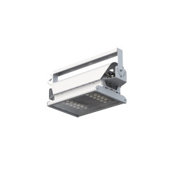 GALAD Эверикс LED-100-Г60.4-IP66-УХЛ1(1/LIRA/740/RAL7035/TG/AC230/E/Х/G1)